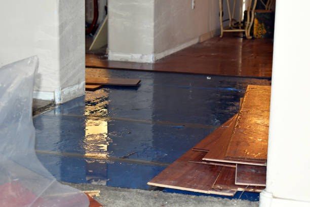 Professional Flood Damage Repair technician working in Midway, PA
